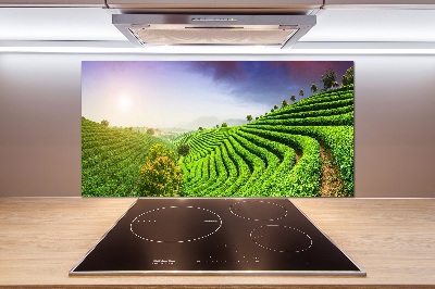 Panel do kuchyne Čajová plantáž