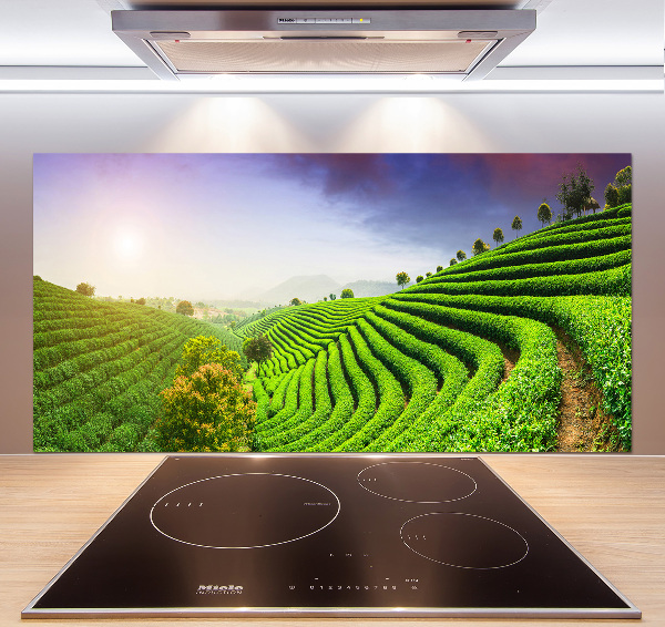 Panel do kuchyne Čajová plantáž