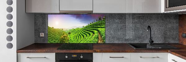 Panel do kuchyne Čajová plantáž