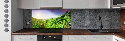 Panel do kuchyne Čajová plantáž