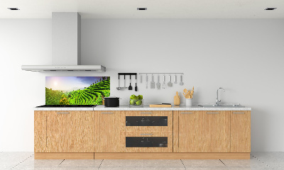Panel do kuchyne Čajová plantáž