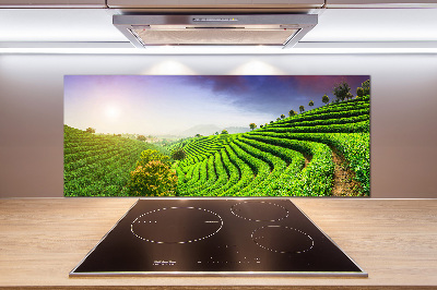 Panel do kuchyne Čajová plantáž