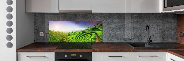 Panel do kuchyne Čajová plantáž