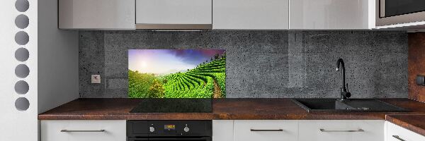 Panel do kuchyne Čajová plantáž