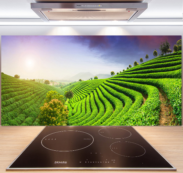 Panel do kuchyne Čajová plantáž