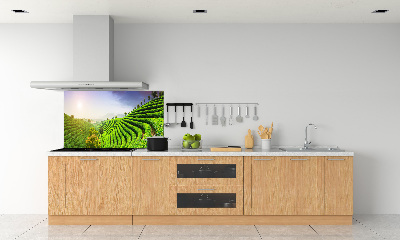 Panel do kuchyne Čajová plantáž