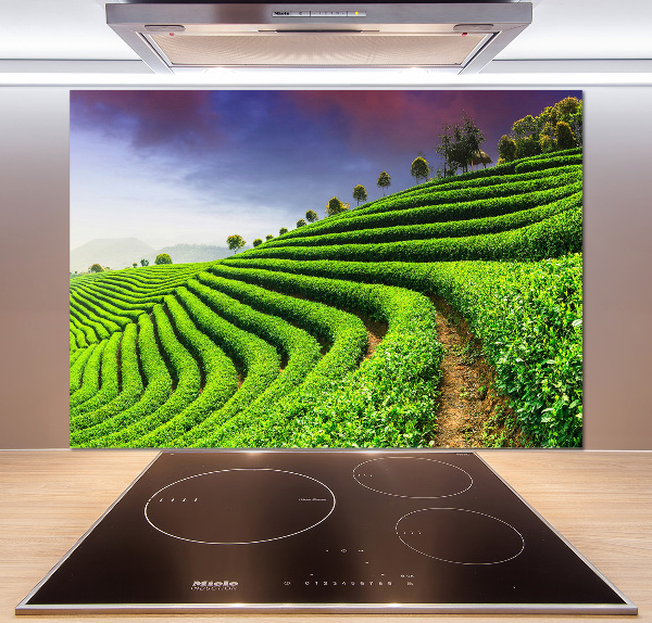Panel do kuchyne Čajová plantáž