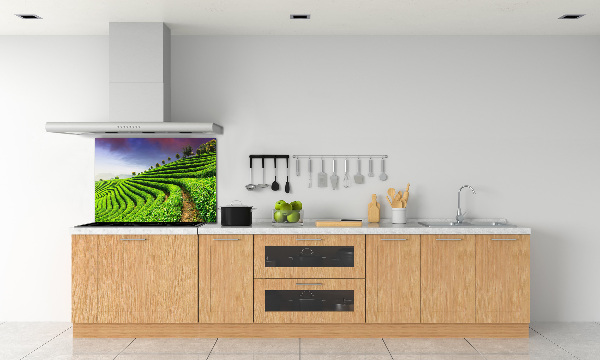 Panel do kuchyne Čajová plantáž