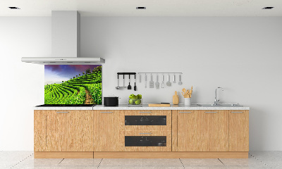 Panel do kuchyne Čajová plantáž