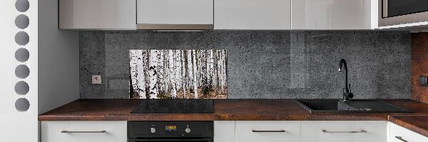 Sklenený panel do kuchyne Breza