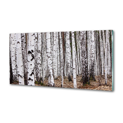 Sklenený panel do kuchyne Breza