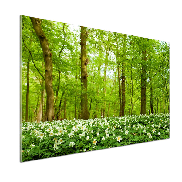 Panel do kuchyne Kvety v lese