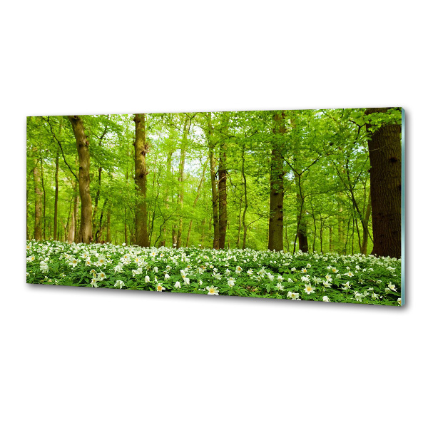 Panel do kuchyne Kvety v lese