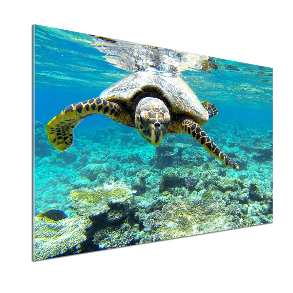 Dekoračný panel sklo Morská korytnačka