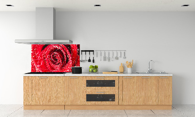 Panel lacobel Kvapky vody na ružu