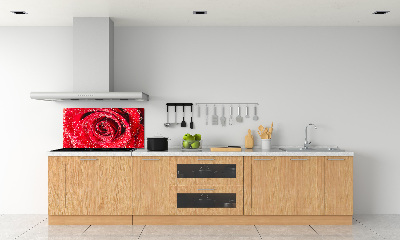 Panel lacobel Kvapky vody na ružu