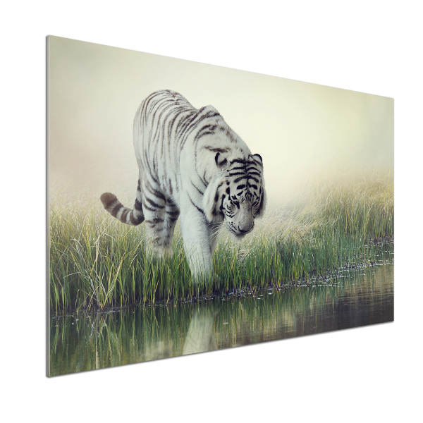 Dekoračný panel sklo Biely tiger