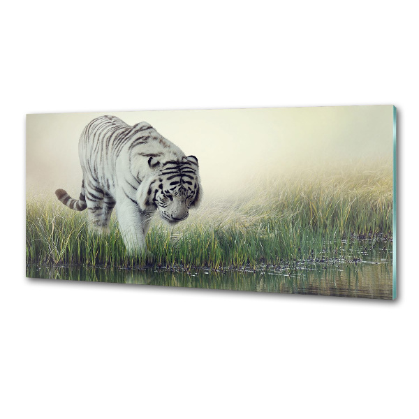 Dekoračný panel sklo Biely tiger