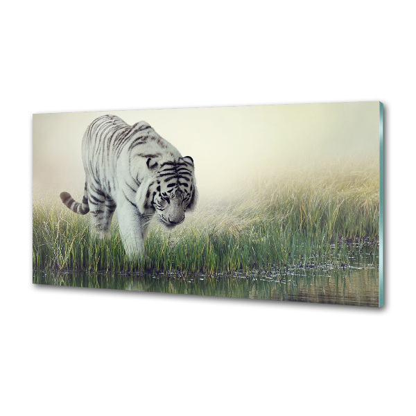 Dekoračný panel sklo Biely tiger