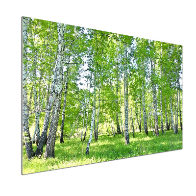 Sklenený panel do kuchyne Brezy