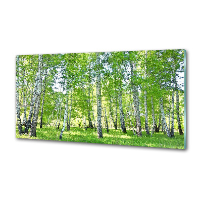 Sklenený panel do kuchyne Brezy