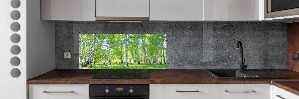 Sklenený panel do kuchyne Brezy