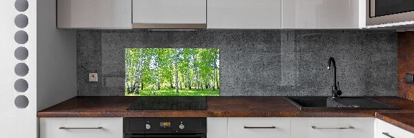 Sklenený panel do kuchyne Brezy