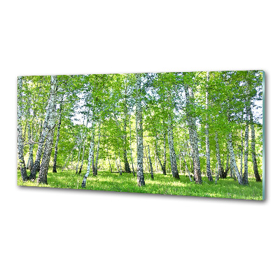 Sklenený panel do kuchyne Brezy