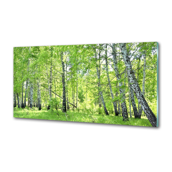 Dekoračný panel sklo Brezovy les