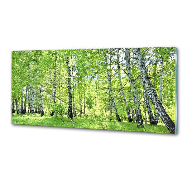 Dekoračný panel sklo Brezovy les