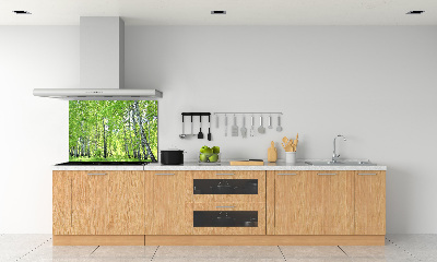 Dekoračný panel sklo Brezovy les