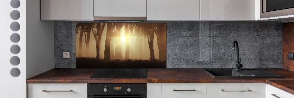 Dekoračný panel sklo Hmla v lese