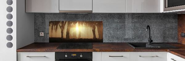 Dekoračný panel sklo Hmla v lese