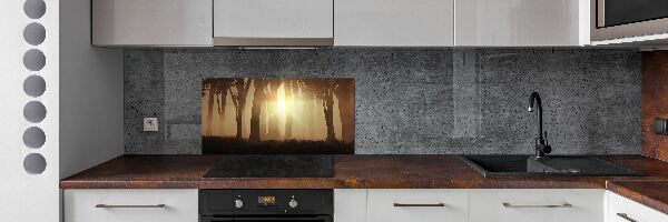 Dekoračný panel sklo Hmla v lese