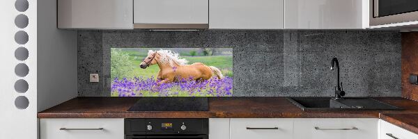 Panel lacobel Kôň na poli levandule