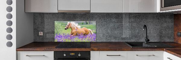 Panel lacobel Kôň na poli levandule