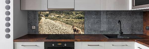Panel do kuchyne Dvaja psi na kopci