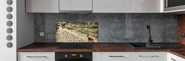 Panel do kuchyne Dvaja psi na kopci