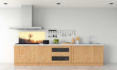 Dekoračný panel sklo Púpava