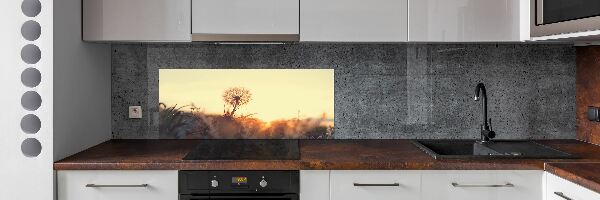 Dekoračný panel sklo Púpava