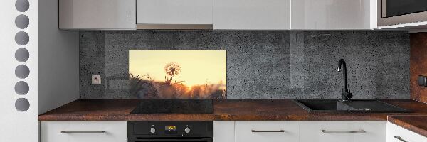 Dekoračný panel sklo Púpava