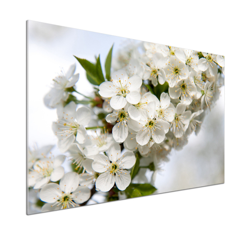 Dekoračný panel sklo Kvety višne