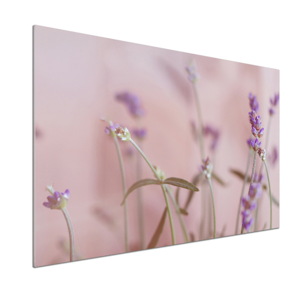 Sklenený panel do kuchyne Levanduľa