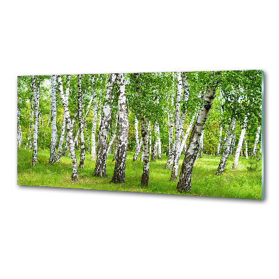 Dekoračný panel sklo Brezovy les