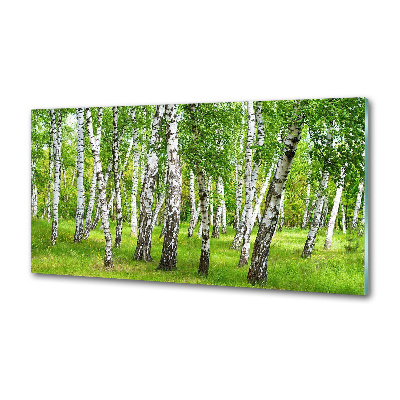 Dekoračný panel sklo Brezovy les