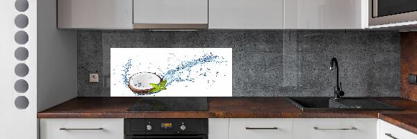 Dekoračný panel sklo Kokos a voda