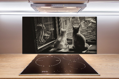 Panel do kuchyne Mačky pri okne