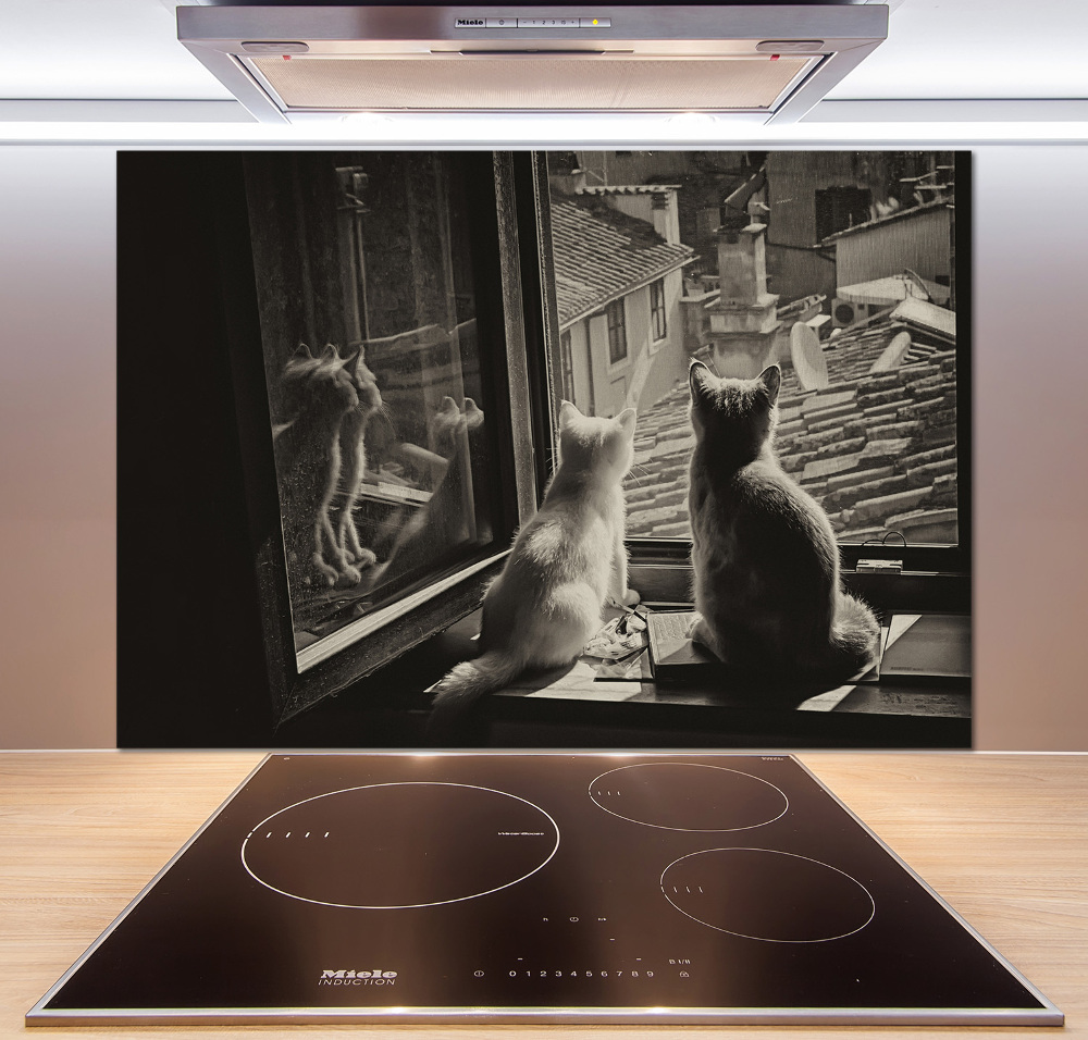 Panel do kuchyne Mačky pri okne