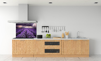 Dekoračný panel sklo Pole levanduľa