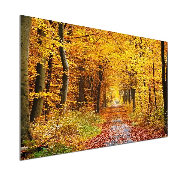 Dekoračný panel sklo Jesenný les